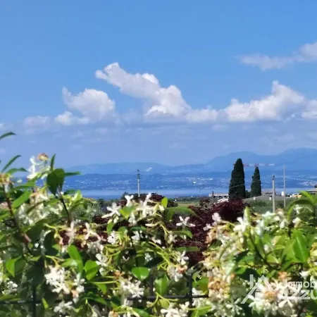 Batik - Immobiliare Azzurra *